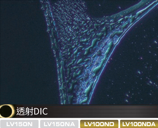 奈米粒子觀察方法